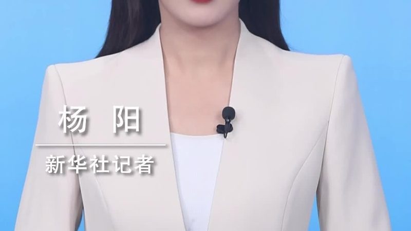 从需求分析到成品交付：定制开发的时间构成